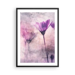 Affiche dans un cadre noir - Poster - Fleurs délicates dans des tons de rose et de violet sur un fond clair - 50x70cm - Rêve de fleurs - Décoration murale moderne pour le salon et la chambre ARTTOR