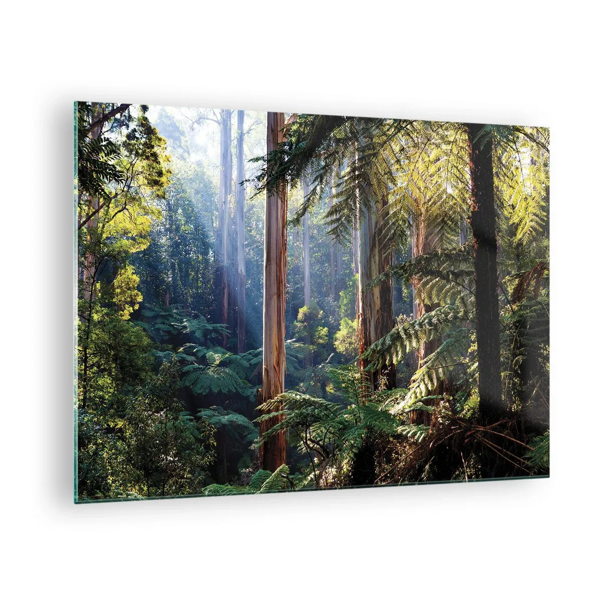 Impression sur verre - Image sur verre - Forêt tropicale verte avec des rayons de soleil - 70x50cm - Fable de la forêt - Décoration murale moderne pour le salon et la chambre ARTTOR