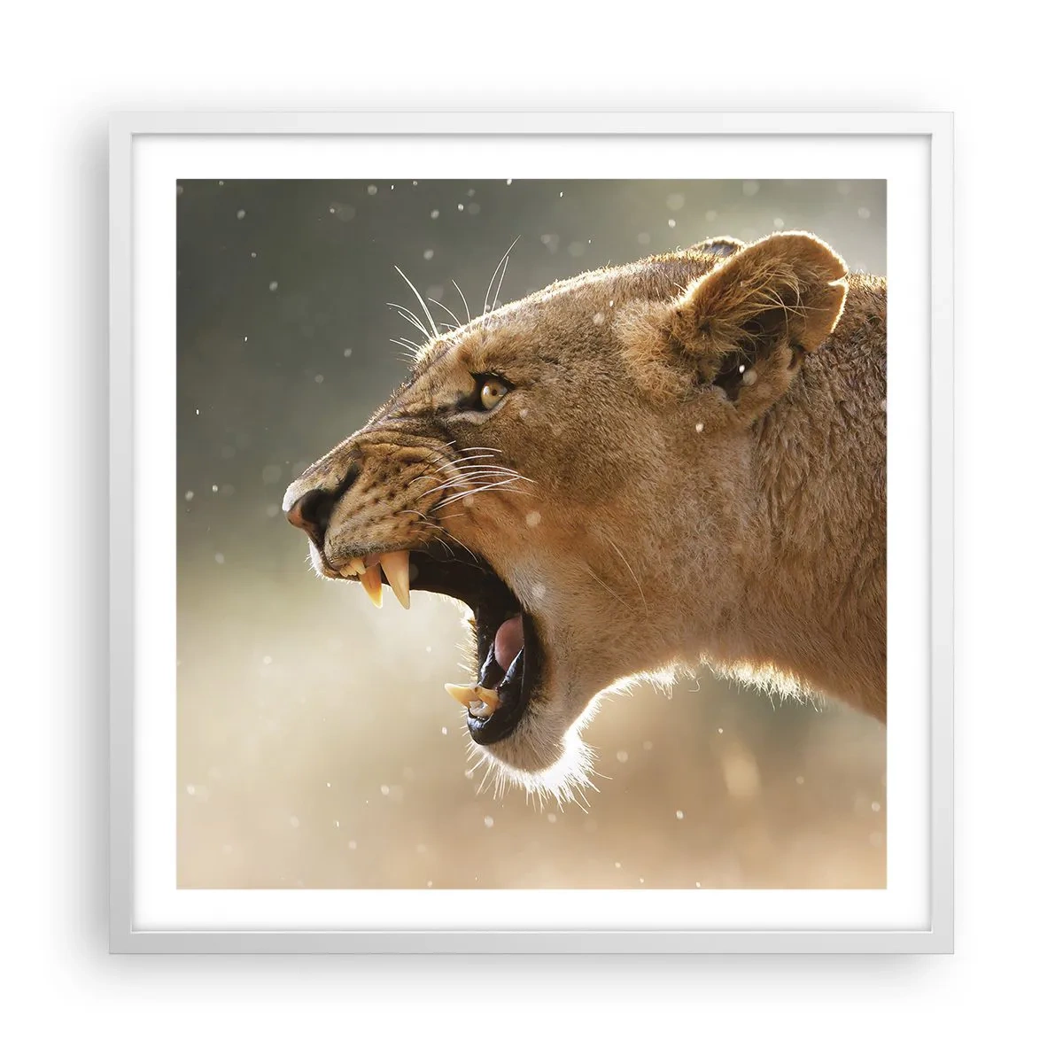 Affiche dans un cadre blanc - Poster - Essayez  de ne pas écouter - 60x60 cm