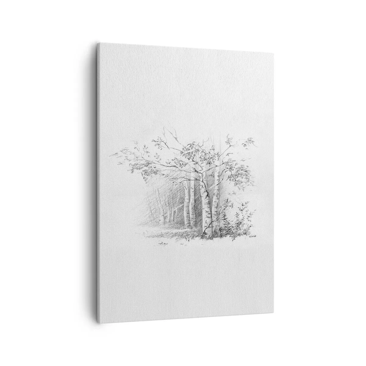 Impression sur toile - Image sur toile - Un dessin d'une forêt de bouleaux dans un croquis au crayon subtil - 50x70cm - Lumière d'une forêt de bouleaux - Décoration murale moderne pour le salon et la chambre ARTTOR