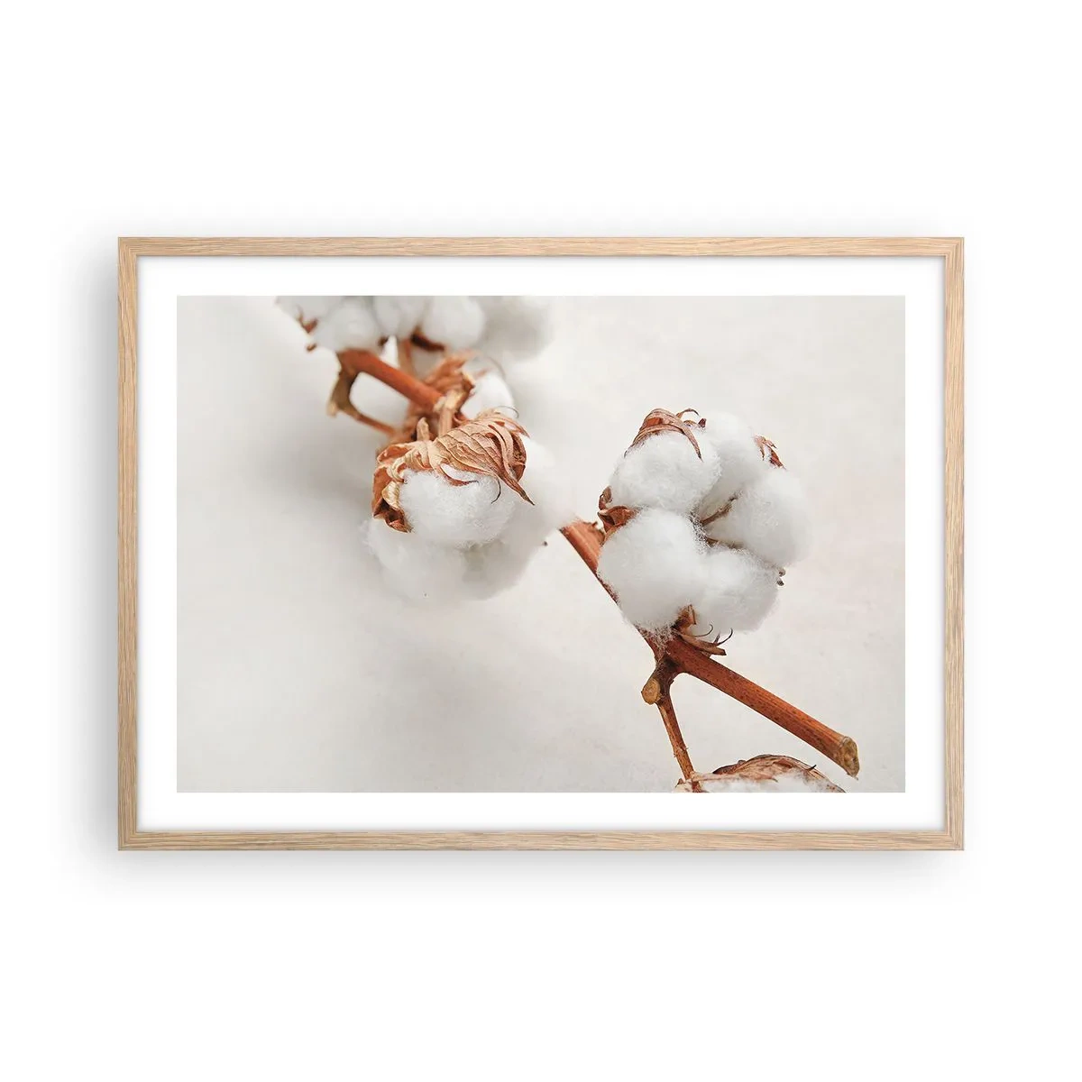 Affiche dans un chêne clair - Poster - Seulement caliner - 70x50 cm