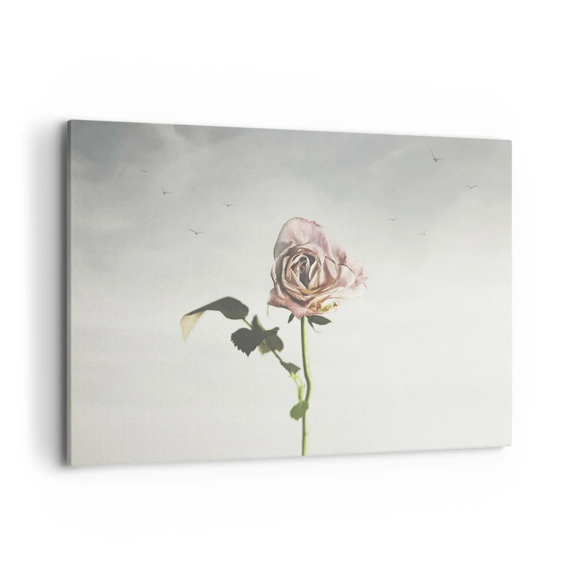 Impression sur toile - Image sur toile - Une rose délicate contre un ciel lumineux avec des oiseaux en vol - 120x80cm - Bonjour de printemps - Décoration murale moderne pour le salon et la chambre ARTTOR