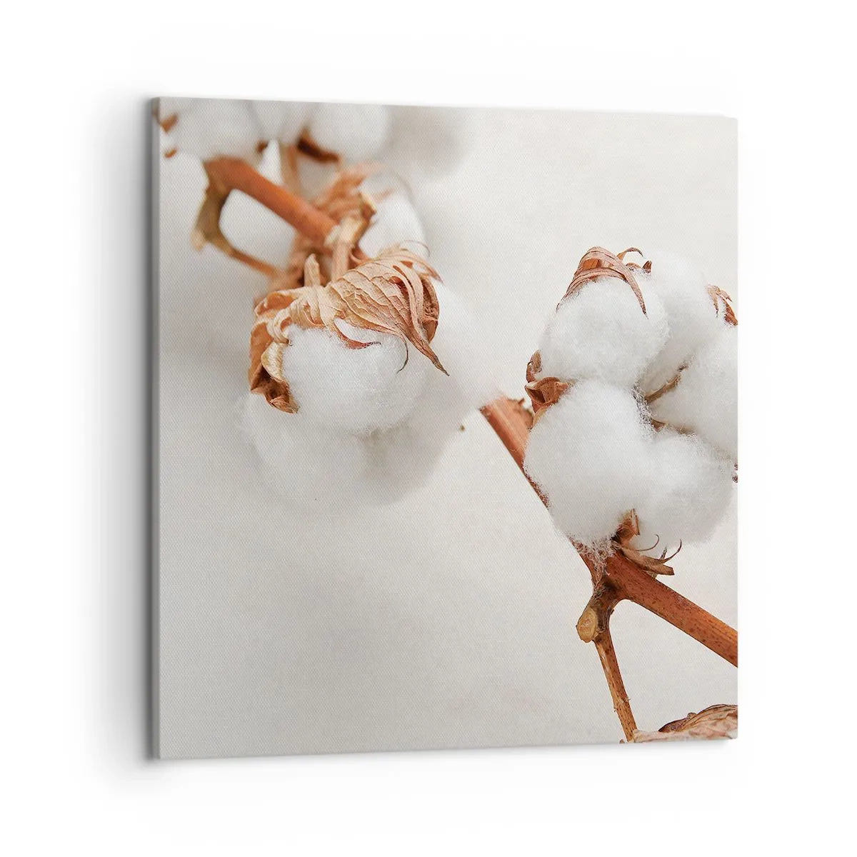 Impression sur toile - Image sur toile - Seulement caliner - 50x50 cm