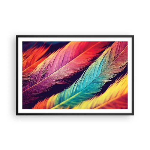 Affiche dans un cadre noir - Poster - Arc-en-ciel de plumes - 91x61 cm