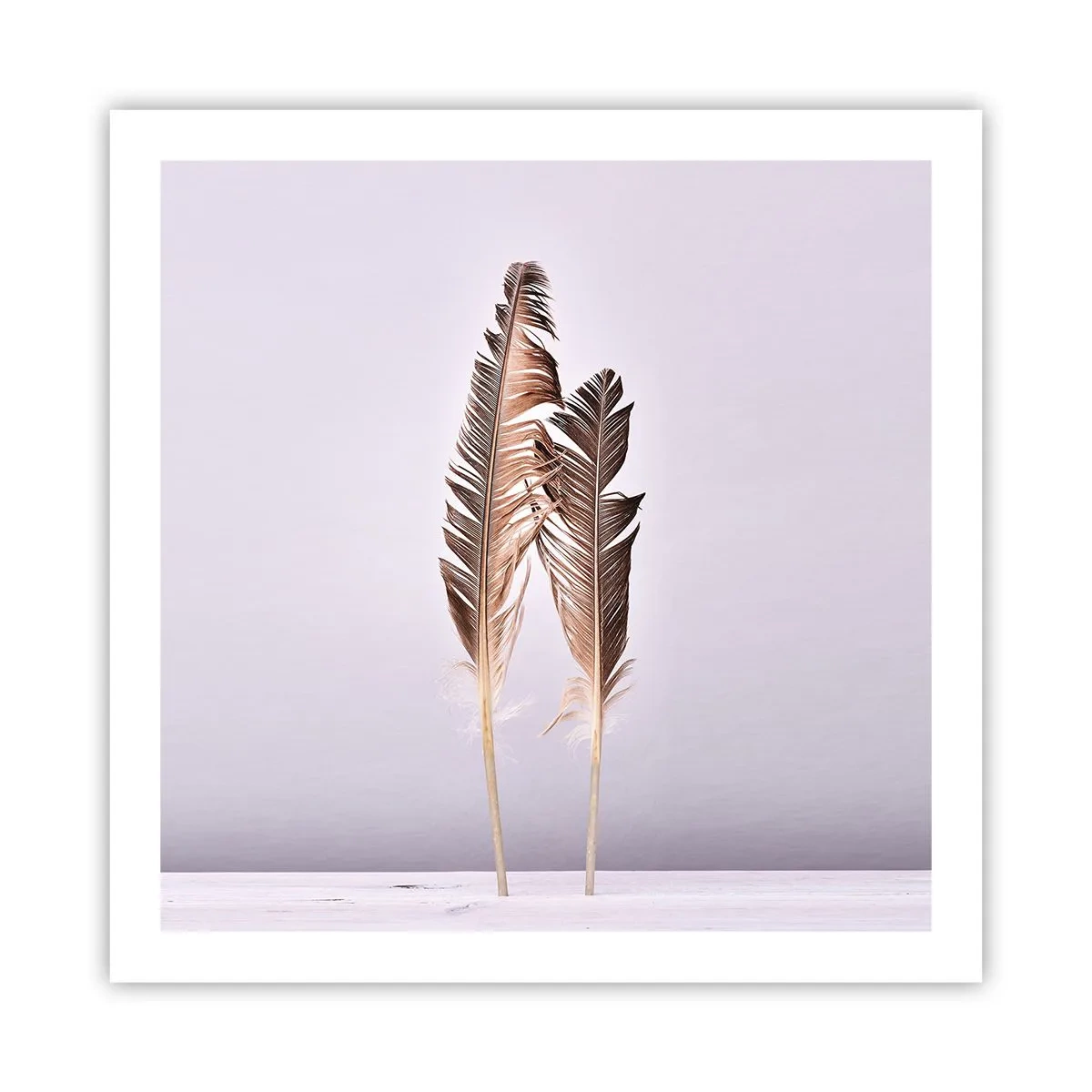 Affiche - Poster - Face au néant - 60x60 cm