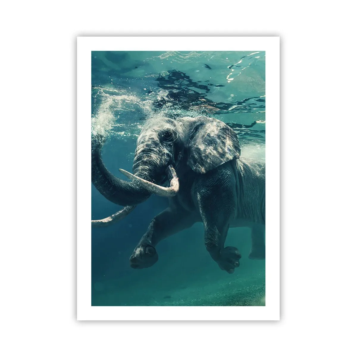 Affiche - Poster - Un éléphant nageant dans une eau turquoise - 50x70cm - Tout le monde aime nager - Décoration murale moderne pour le salon et la chambre ARTTOR