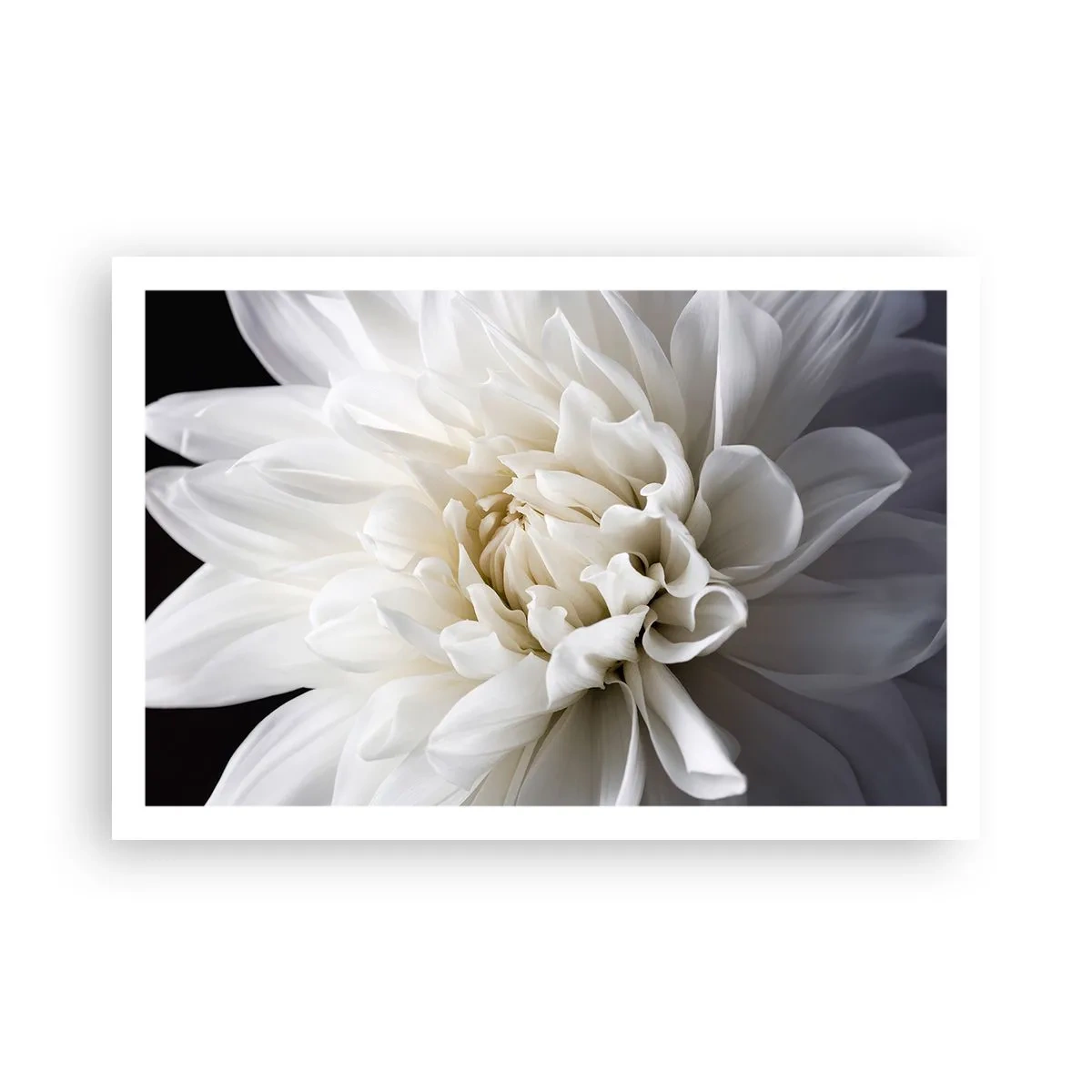 Affiche - Poster - Le matin de la jeune mariéé - 91x61 cm