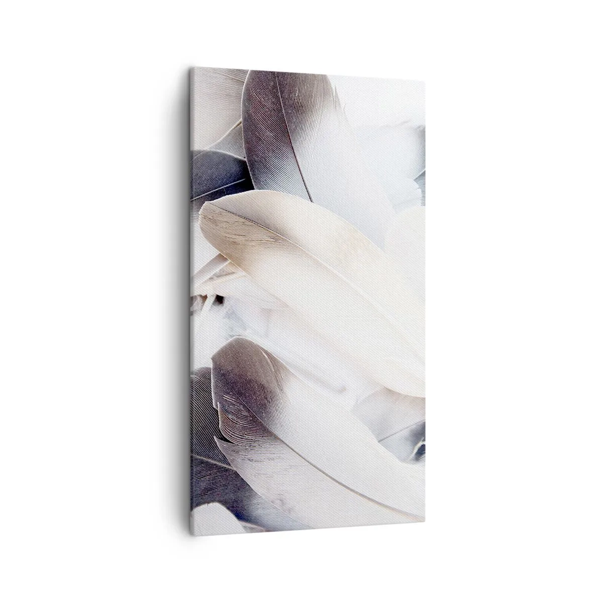 Impression sur toile - Image sur toile - Presque angélique - 45x80 cm