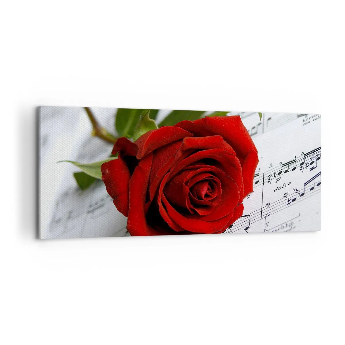 Impression sur toile - Image sur toile - Une rose rouge sur fond de notes de musique sur papier blanc. - 120x50cm - Musique des sentiments en écarlate - Décoration murale moderne pour le salon et la chambre ARTTOR