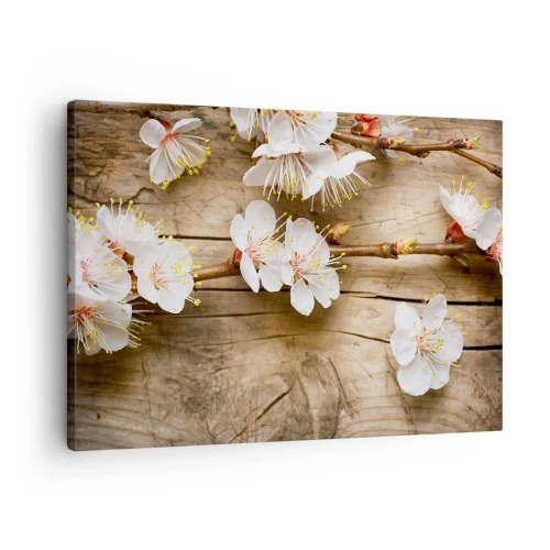 Impression sur toile - Image sur toile - Branches de cerisiers en fleurs sur fond de planche de bois - 70x50cm - Et c'est devenu le printemps - Décoration murale moderne pour le salon et la chambre ARTTOR