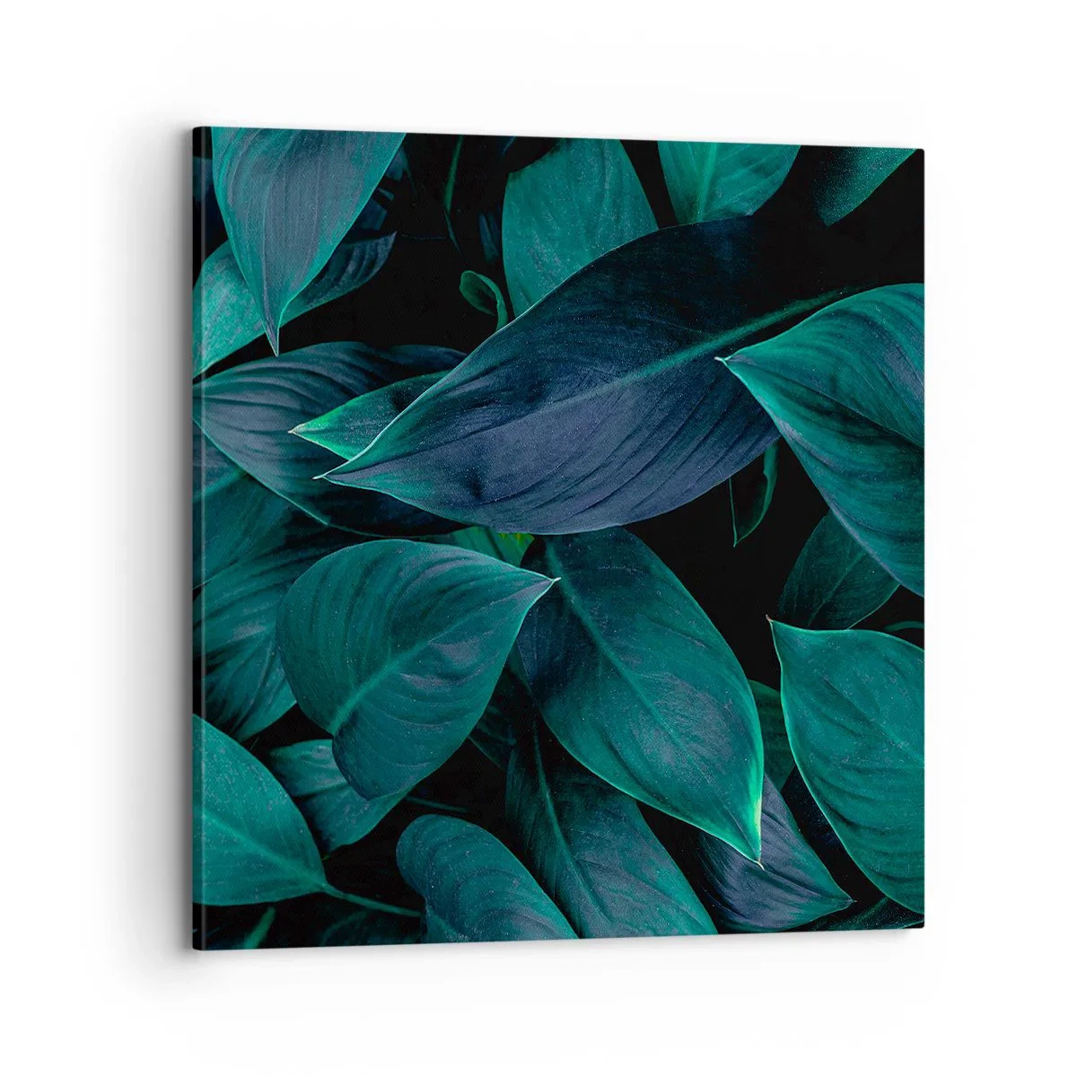 Impression sur toile - Image sur toile - le vert lui-même - 70x70 cm