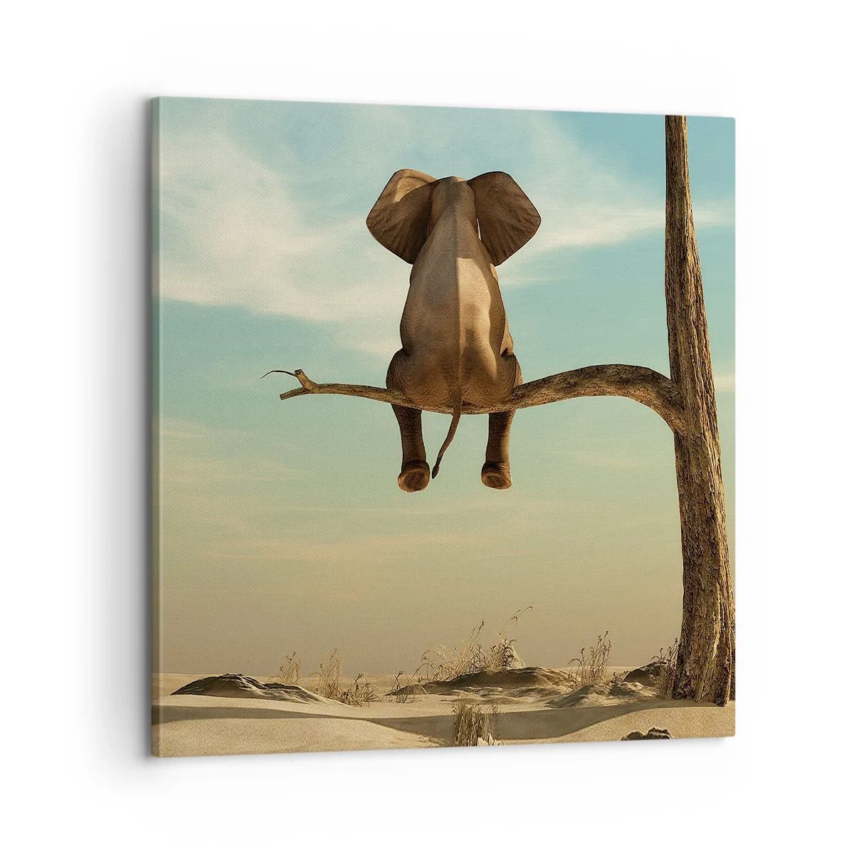 Impression sur toile - Image sur toile - Nouveau point de vue - 60x60 cm