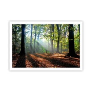 Affiche - Poster - Ombres et lumières - 91x61 cm