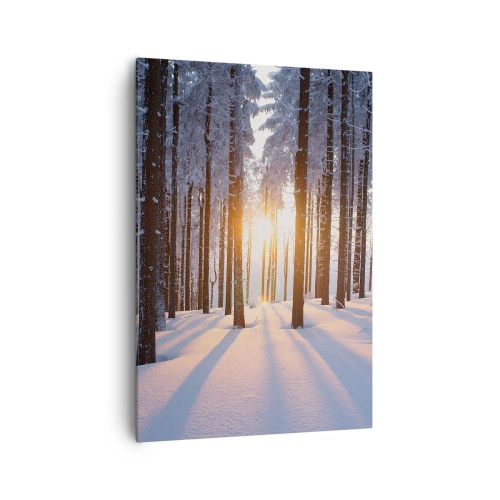 Impression sur toile - Image sur toile - Forêt d'hiver illuminée par les rayons du soleil - 70x100cm - Clairement en noir et blanc - Décoration murale moderne pour le salon et la chambre ARTTOR
