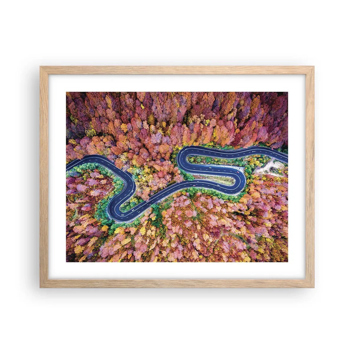 Affiche dans un chêne clair - Poster - Route sinueuse à travers la forêt - 50x40 cm