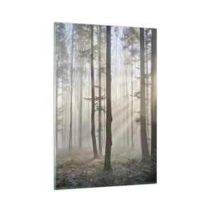 Impression sur verre - Image sur verre - Une forêt dans un léger brouillard avec des rayons de soleil qui brillent à travers les arbres - 80x120cm - Le brouillard s'est aussi réveillé - Décoration murale moderne pour le salon et la chambre ARTTOR