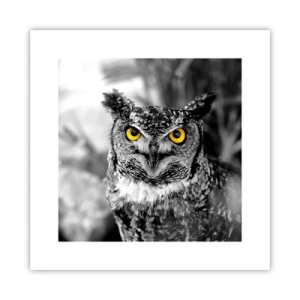 Affiche - Poster - Rien ne se cachera - 30x30 cm