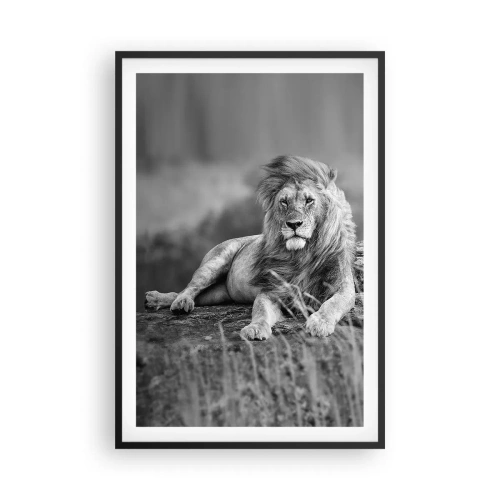 Affiche dans un cadre noir - Poster - Sieste royale - 61x91 cm