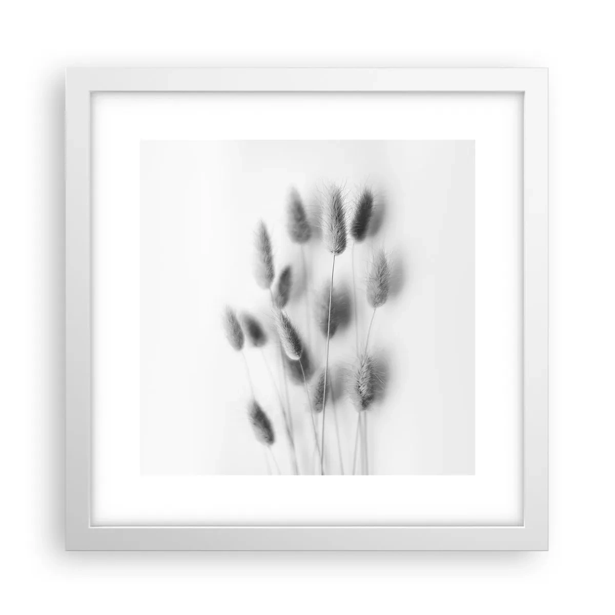 Affiche dans un cadre blanc - Poster - Son herbe duveteuse - 30x30 cm