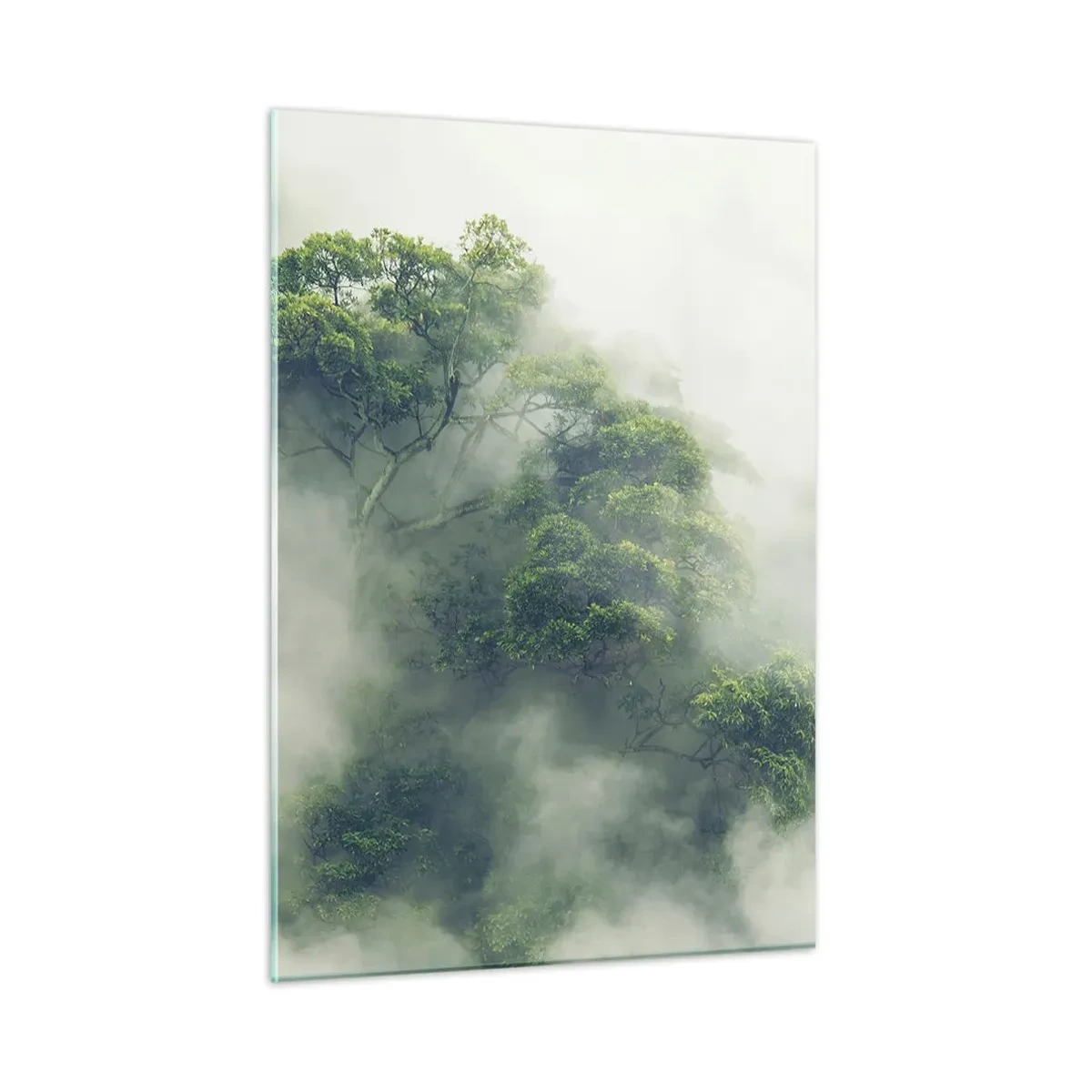 Impression sur verre - Image sur verre - Arbres de la forêt tropicale émergeant d'un épais brouillard - 50x70cm - Enveloppé de brouillard - Décoration murale moderne pour le salon et la chambre ARTTOR