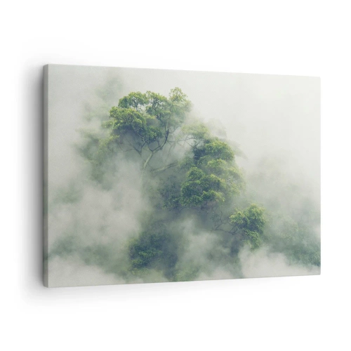 Impression sur toile - Image sur toile - Arbres verts dans un épais brouillard sur fond naturel - 70x50cm - Enveloppé de brouillard - Décoration murale moderne pour le salon et la chambre ARTTOR
