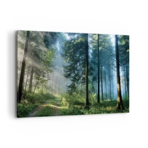 Impression sur toile - Image sur toile - Un chemin forestier illuminé par les rayons du soleil du matin - 120x80cm - Rayonnant le matin - Décoration murale moderne pour le salon et la chambre ARTTOR