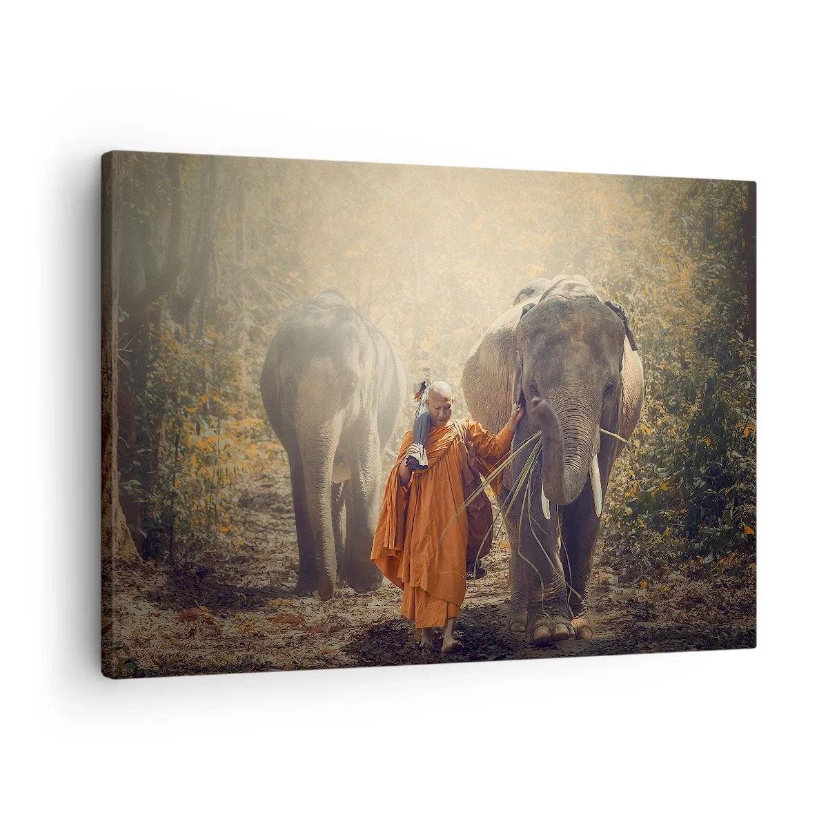 Impression sur toile - Image sur toile - Un moine en robe orange conduit un éléphant dans la forêt. - 70x50cm - Compréhension totale - Décoration murale moderne pour le salon et la chambre ARTTOR