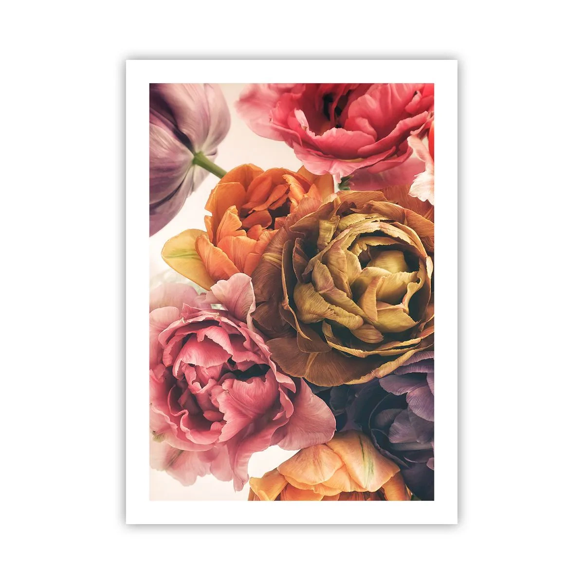Affiche - Poster - Fleurs de pivoine colorées dans une approche artistique - 50x70cm - La fête de la vie - Décoration murale moderne pour le salon et la chambre ARTTOR