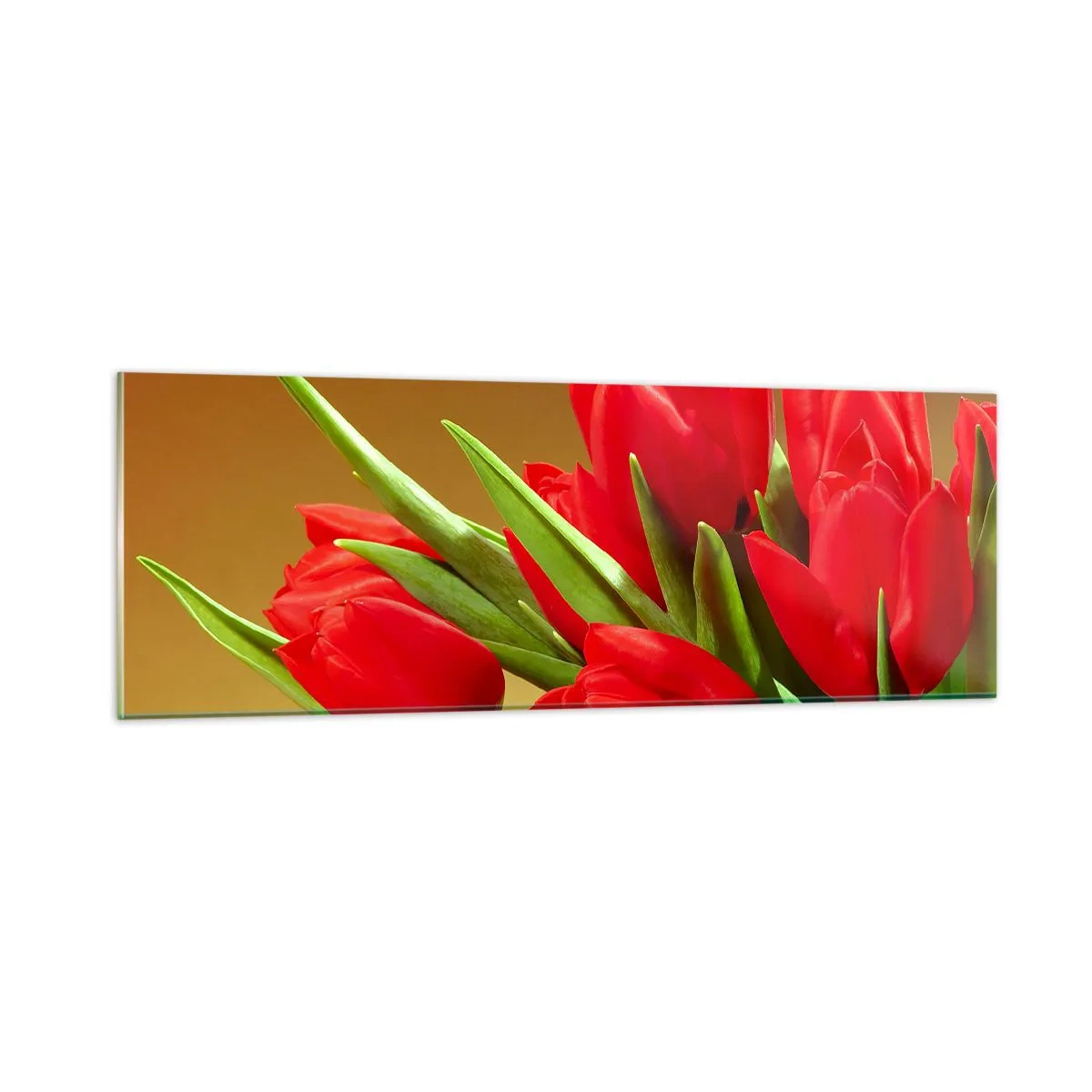 Impression sur verre - Image sur verre - Amas de joie printanière - 90x30 cm