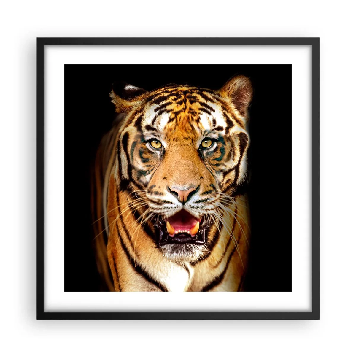 Affiche dans un cadre noir - Poster - Le coeur sauvageon - 50x50 cm