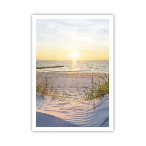 Affiche - Poster - Le bruit de la mer, le chant des oiseaux, une plage sauvage parmi les herbes… - 70x100 cm