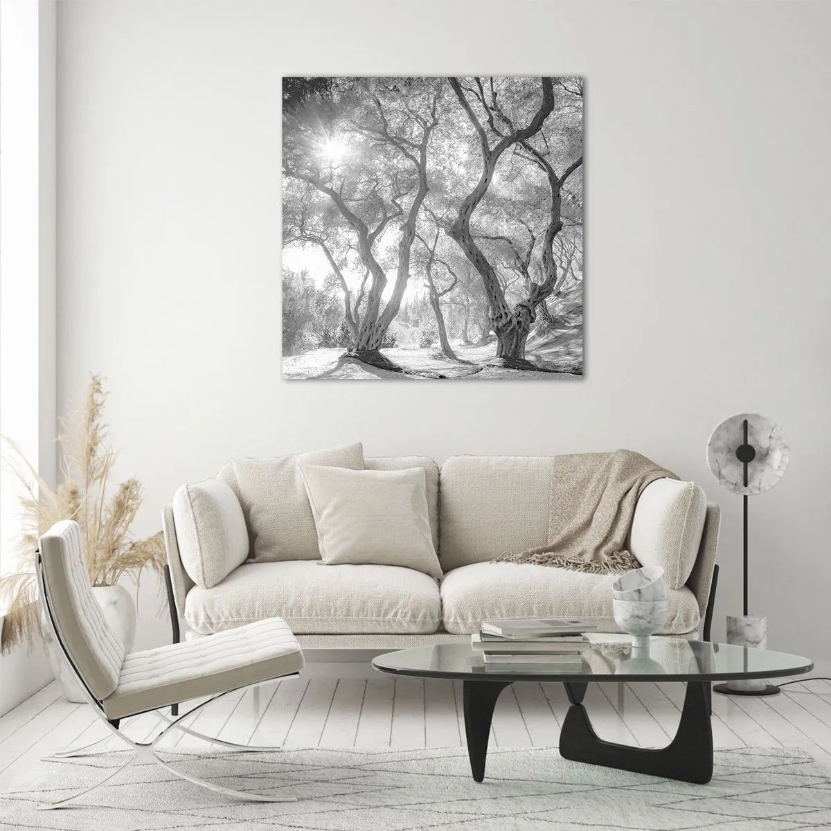 Impression sur verre - Image sur verre - Dans l'oliveraie - 30x30 cm