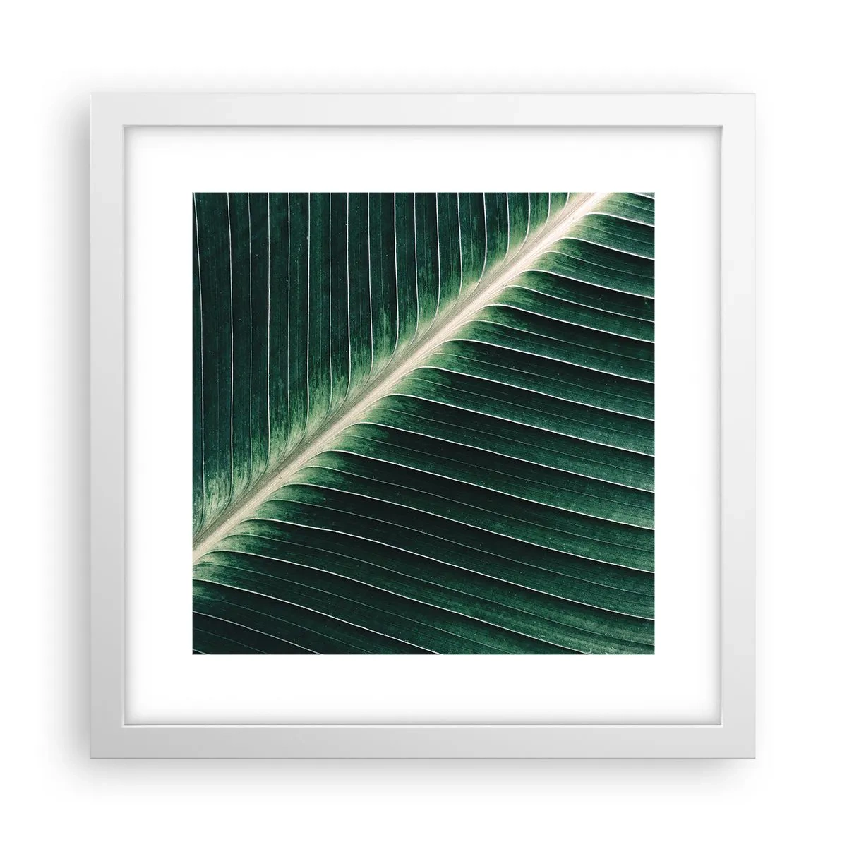 Affiche dans un cadre blanc - Poster - Le rythme de la nature - 30x30 cm