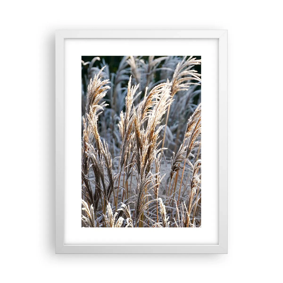 Affiche dans un cadre blanc - Poster - Habillé de givre - 30x40 cm