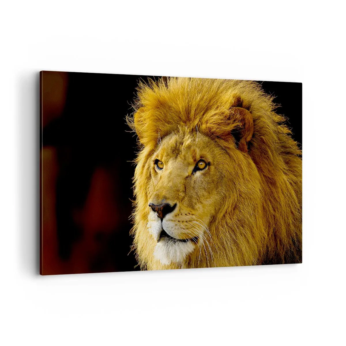 Impression sur toile - Image sur toile - Portrait d'un lion à la crinière majestueuse sur fond sombre - 120x80cm - Portrait de roi - Décoration murale moderne pour le salon et la chambre ARTTOR