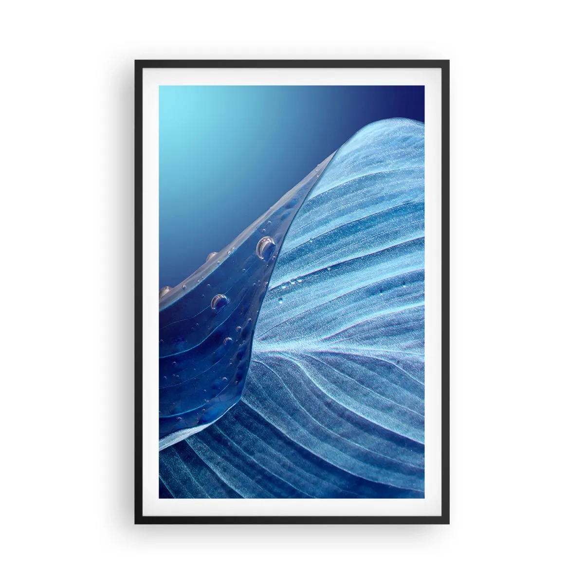 Affiche dans un cadre noir - Poster - Gouttes cachées du bleu - 61x91 cm