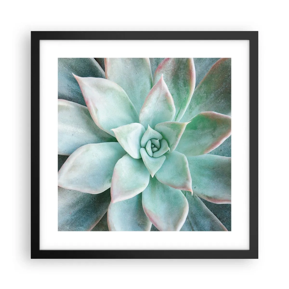 Affiche dans un cadre noir - Poster - Le coeur du désert - 40x40 cm