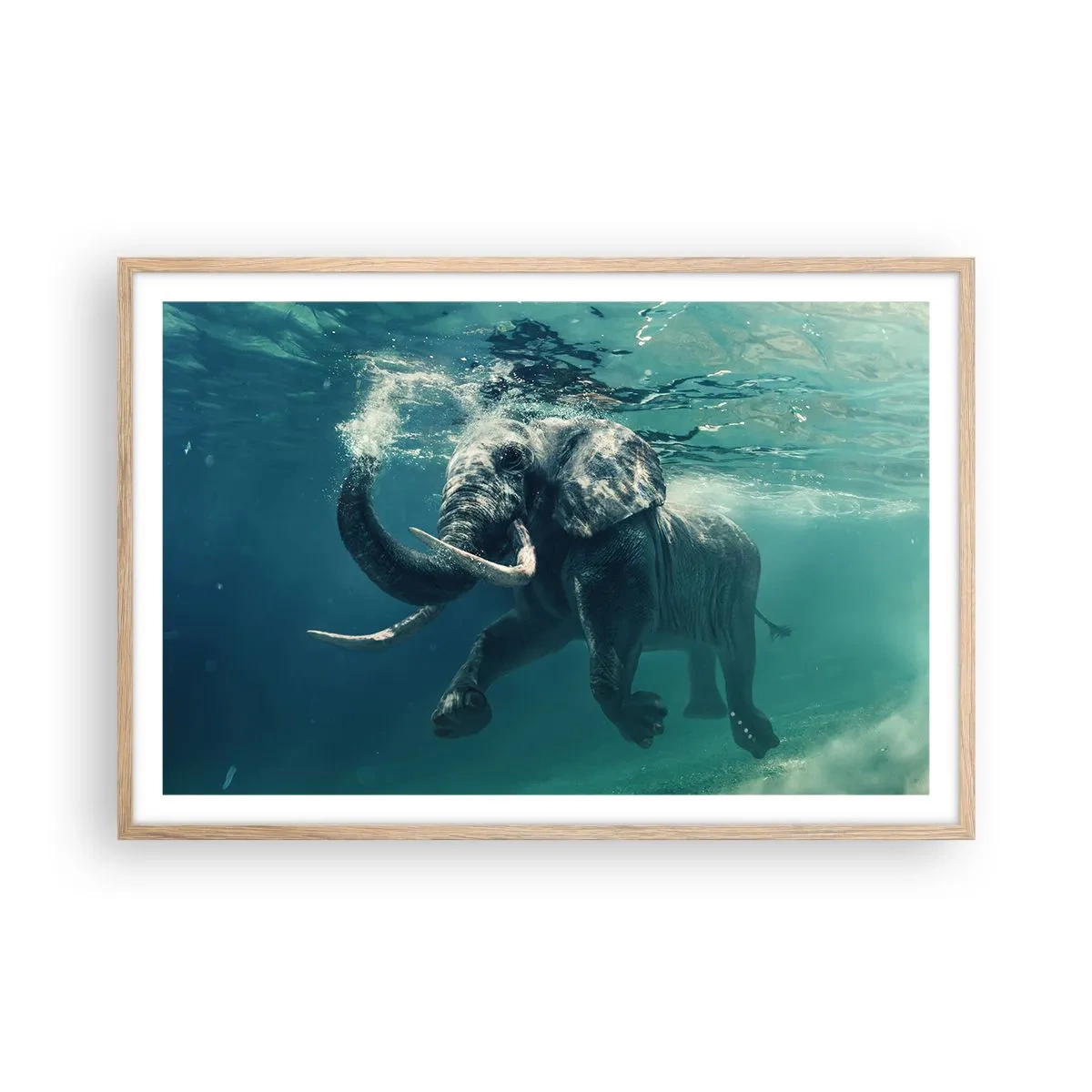 Affiche dans un chêne clair - Poster - Tout le monde aime nager - 91x61 cm