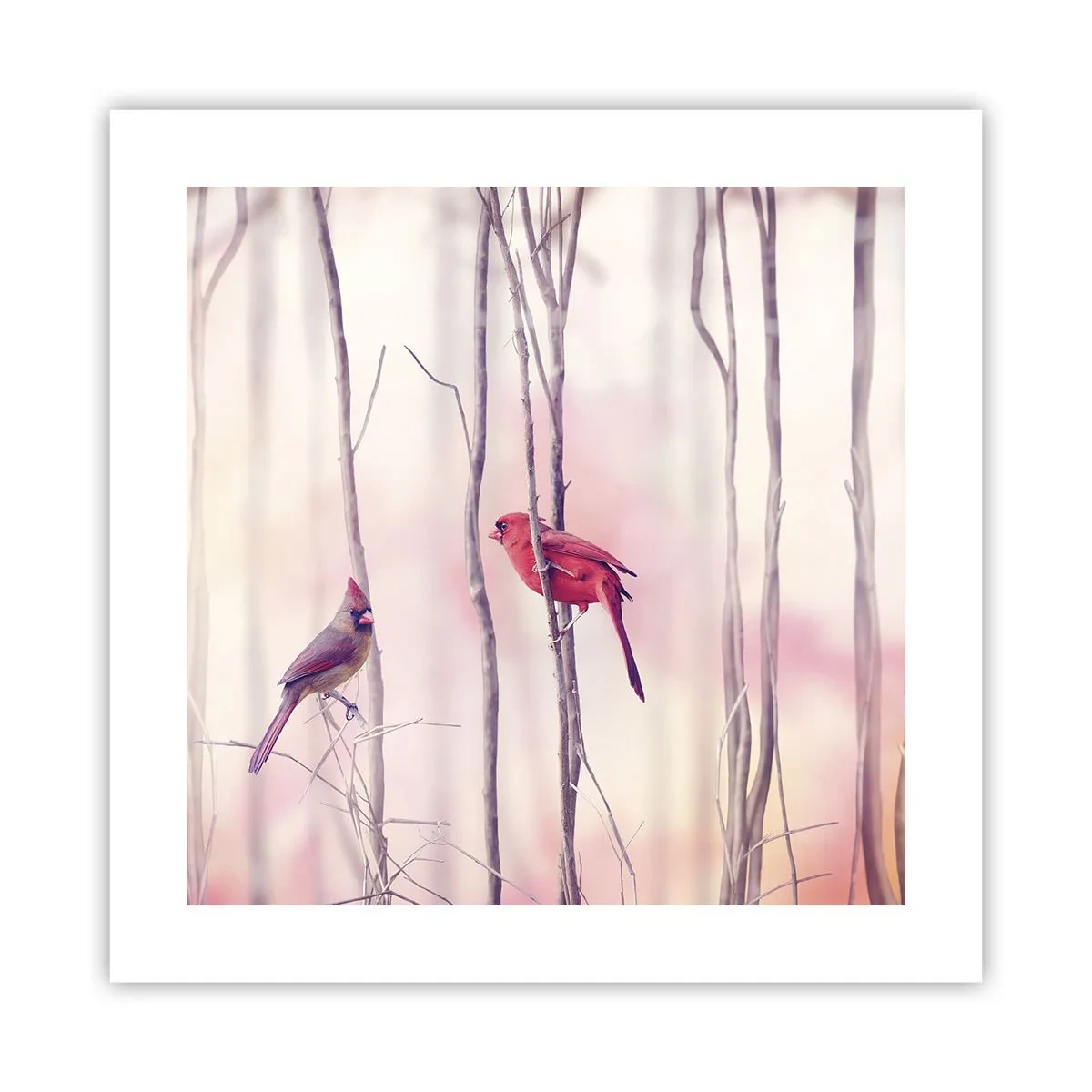 Affiche - Poster - Conte de la forêt rose - 40x40 cm