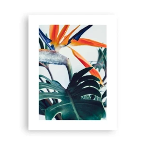 Affiche - Poster - Le buisson oiseaux - 30x40 cm