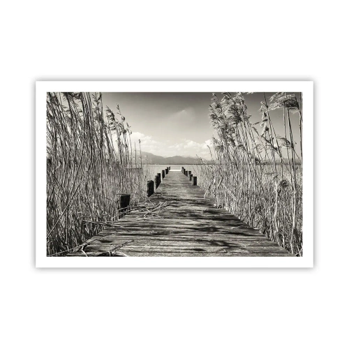 Affiche - Poster - Dans le calme de l'herbe - 91x61 cm