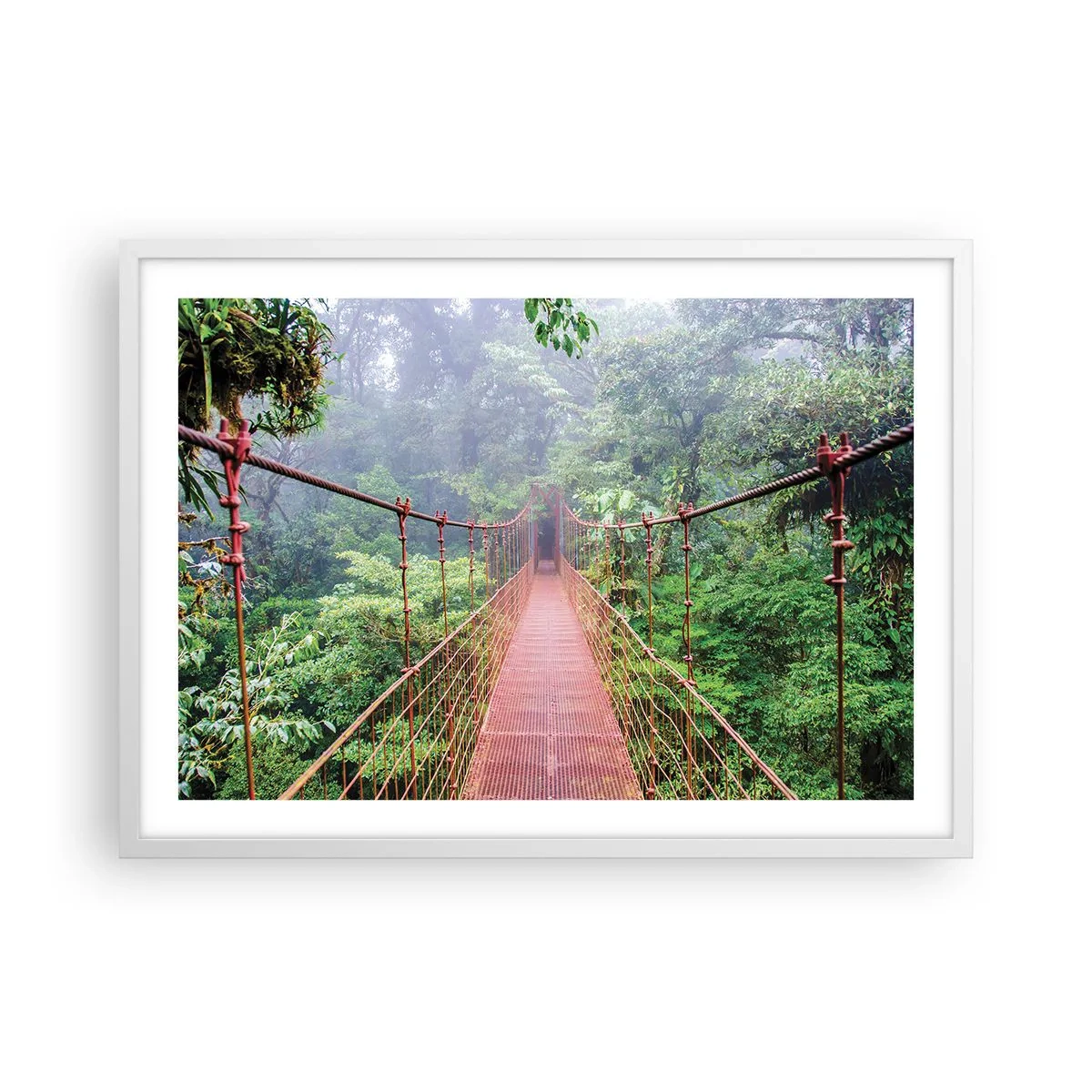 Affiche dans un cadre blanc - Poster - Suspendu sur les couronnes - 70x50 cm