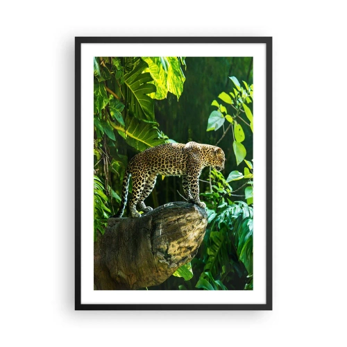 Affiche dans un cadre noir - Poster - Un léopard debout sur un rocher dans une forêt tropicale - 50x70cm - À la chasse? - Décoration murale moderne pour le salon et la chambre ARTTOR