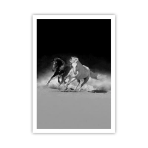 Affiche - Poster - Galop de la liberté - 70x100 cm