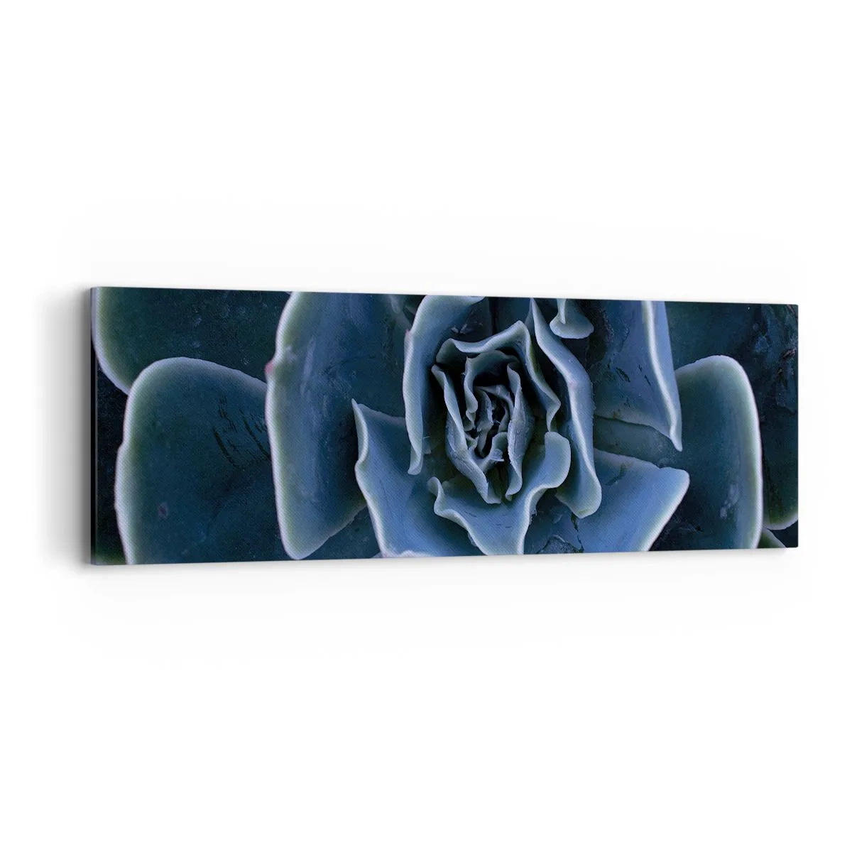 Impression sur toile - Image sur toile - Fleur du désert - 90x30 cm