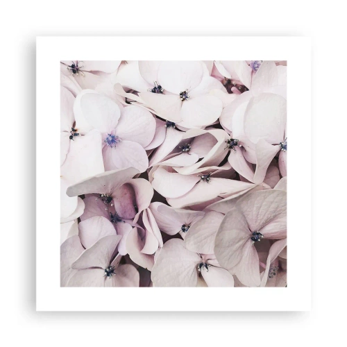 Affiche - Poster - Dans un flot de fleurs - 40x40 cm