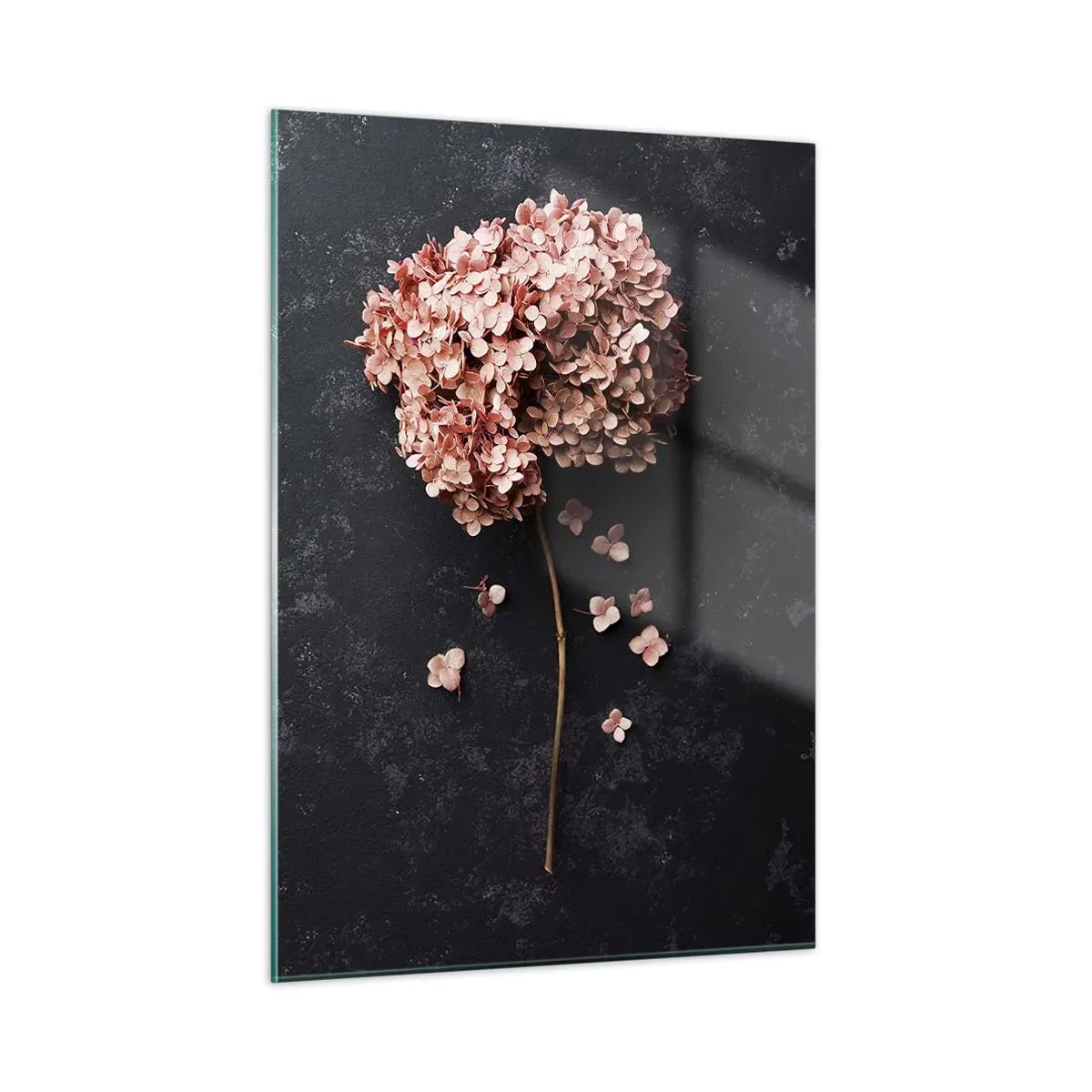 Impression sur verre - Image sur verre - Hortensia sec aux pétales dispersés sur un fond sombre - 50x70cm - Un signe vraiment romantique - Décoration murale moderne pour le salon et la chambre ARTTOR