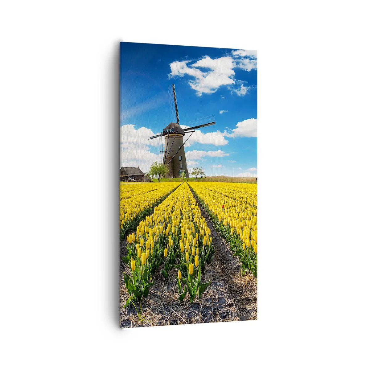 Impression sur toile - Image sur toile - Ça ne pourrait pas être plus hollandais - 65x120 cm