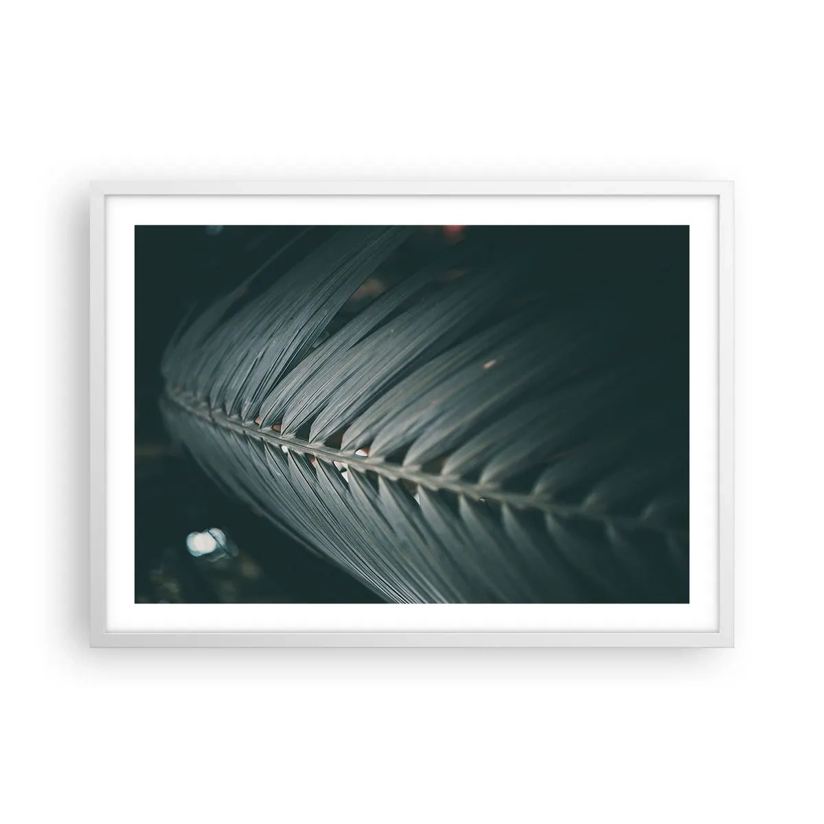 Affiche dans un cadre blanc - Poster - Précision de la nature - 70x50 cm