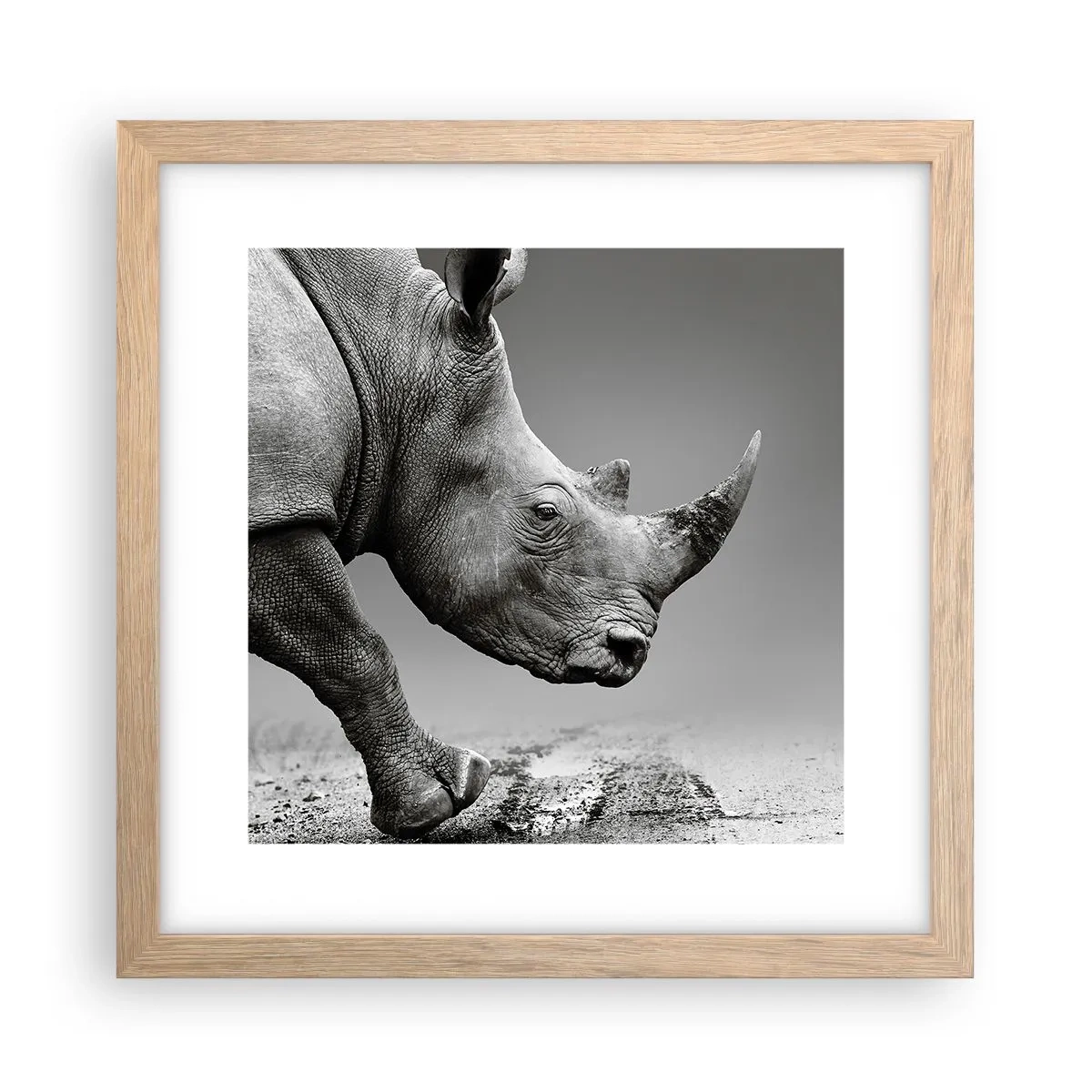 Affiche dans un chêne clair - Poster - Force inarrêtable - 30x30 cm